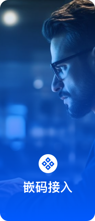 嵌码接入